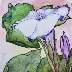 “Datura” Watercolor Notecard